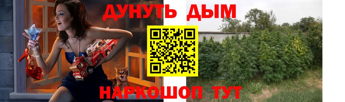 Канабис гибрид  Вход с VPN  МАРИХУАНА план  Марихуана OG Kush  Берёзовский 
